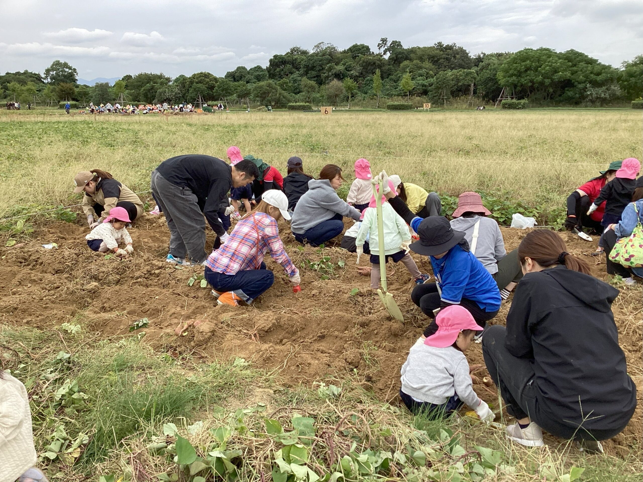 「うんとこどっこいしょ!」芋ほり体験☆